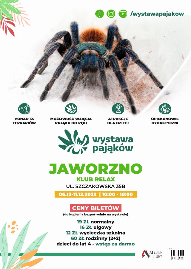 Plakat wystawa pająków
